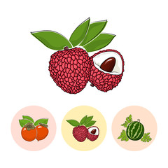 Fruit   Lichee  on White Background , Set of Three Round Colorful Icons Persimmon , Lichee and  Watermelon , Vector Illustration