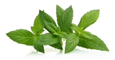 Mint Leaves © mates