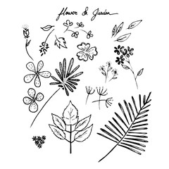 Hand drawn flower and garden