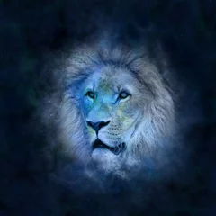 Poster Lion Lion horoscope