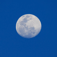 Big moon in a night blue sky