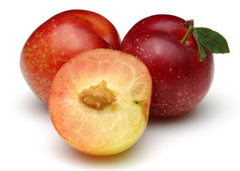 Red Plum