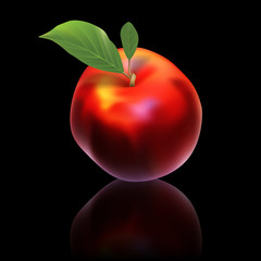 vector nectarine isolated on black background