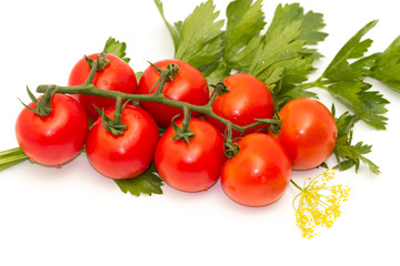The branch of cherry tomato and parsley leafs isolated on white background.