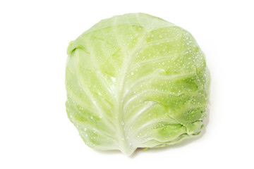 Obraz premium One whole cabbage on white background.
