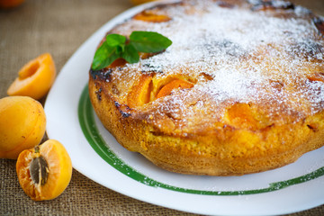 Sponge cake with apricot