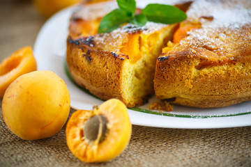 Sponge cake with apricot