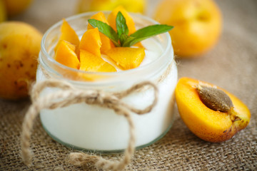 Yogurt with fresh apricots