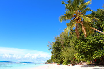 Fototapeta na wymiar Seychellen La Dique - Blick auf Praslin 