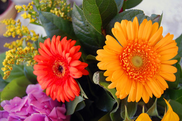 beautiful bouquet of colorful summer flowers