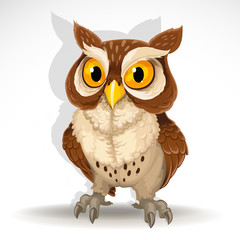 Cute owl isolated on white background