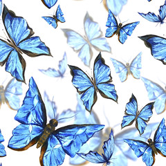 Beautiful blue summer watercolor butterflies on a white