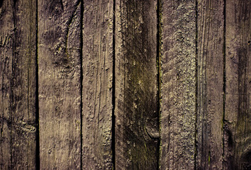 Obraz premium Grunge wooden background
