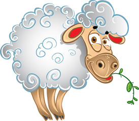 Bright sheep with blade of grass