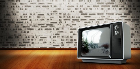 Composite image of retro tv