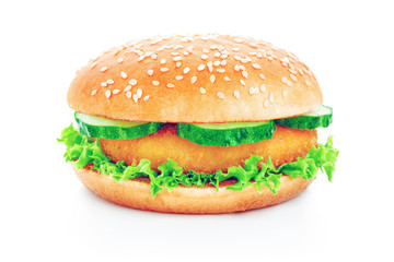 Fresh tasty burger