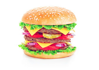 Fresh tasty burger