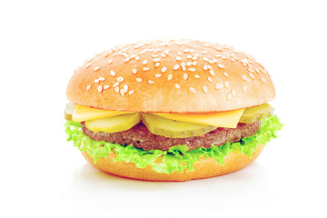Fresh tasty burger