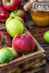 harvest of ripe apples and honey to the Church celebration of the apple feast day
