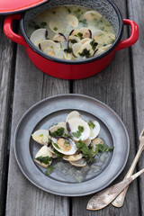 White clamshells with wine and parsley sauce.