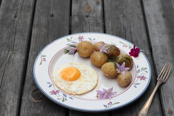 Fried egg with cooked potatoes on a white plate.