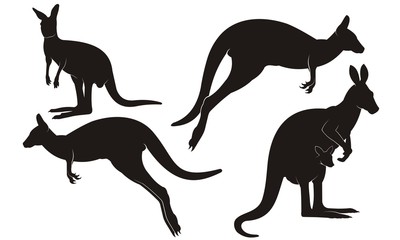Kangaroos Silhouette. collection of kangaroo silhouette. kangaroo silhouette