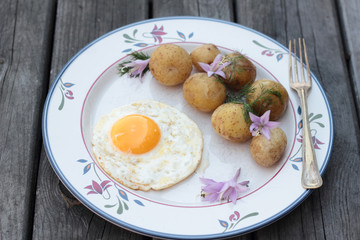 Fried egg with cooked potatoes on a white plate.