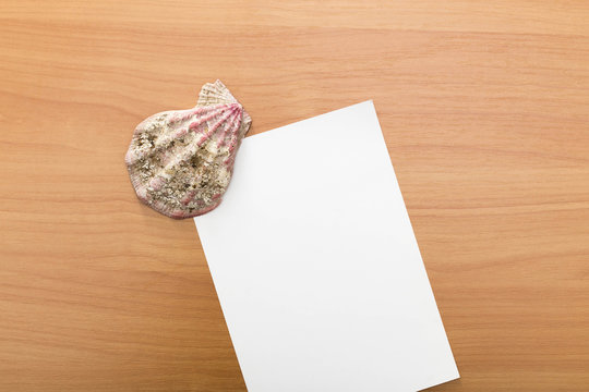 Empty white card with seashell