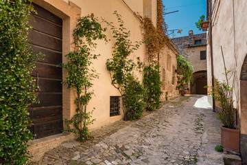 Fototapeta na wymiar Solar hot Italian town streets with flowers and beautiful greene