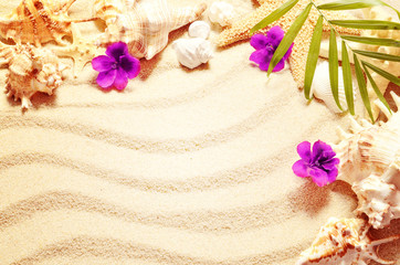 Sea shells and flowers on the  sand summer beach