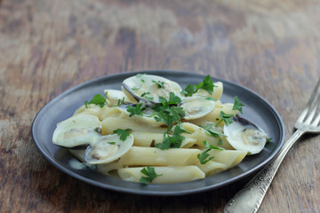 Penne with white clamshells in white sauce.