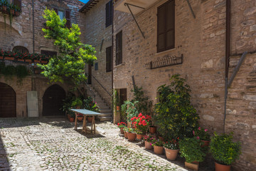 Obraz premium Solar hot Italian town streets with flowers and beautiful greene