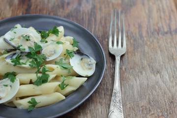Penne with white clamshells in white sauce.