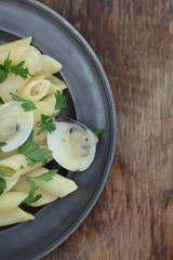 Penne with white clamshells in white sauce.