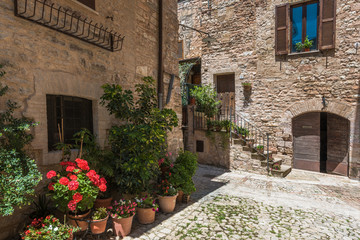 Fototapeta na wymiar Solar hot Italian town streets with flowers and beautiful greene