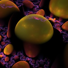 Magische Welt   © georgschm