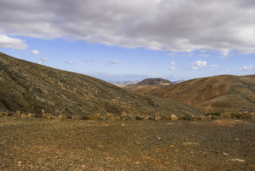 Rough Canary Islands