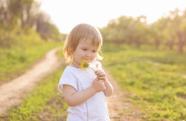 dreamy little girl with dandelion