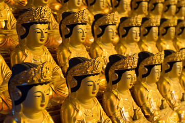 Obraz premium Buddhas of Bongeunsa Temple (奉恩寺ブッダ像) in Seoul, South Korea 