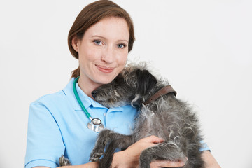 Studio Portrait Of Female Veterinary Surgeon Holding Lurcher Dog