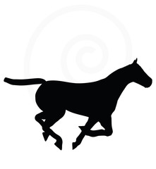 horse silhouette isolated on white