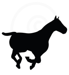horse silhouette isolated on white