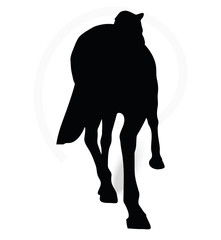 horse silhouette in parade walk pose