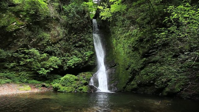 滝と新緑（東京奥多摩の海澤の三滝の大滝）
