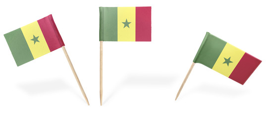 Various cocktail flags of Senegal isolated on white.(series)