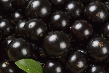 Berry Jaboticaba in bowl on wooden table