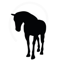 horse silhouette in walking head down
