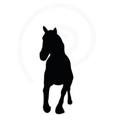 horse silhouette in fast trot pose