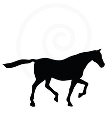 horse silhouette in loping pose