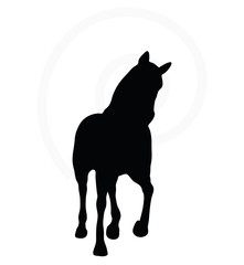 horse silhouette in loping pose